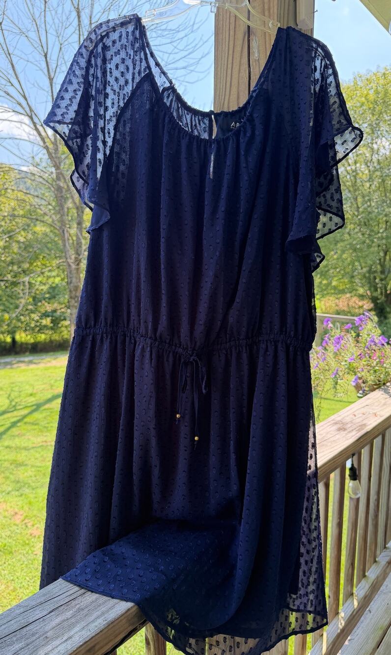 NWT ABS Collection Navy Swiss Dot Flutter Sleeve Dress 4X Cottagecore Romantic